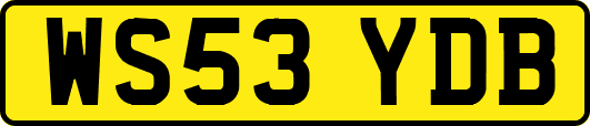 WS53YDB