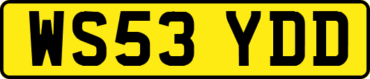 WS53YDD