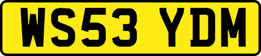 WS53YDM