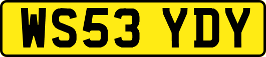WS53YDY