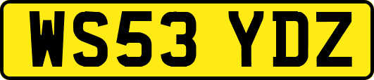 WS53YDZ