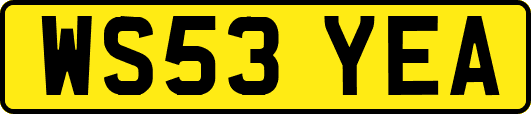 WS53YEA