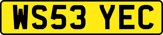 WS53YEC