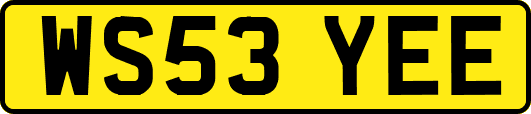 WS53YEE
