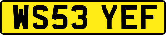 WS53YEF