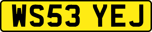WS53YEJ