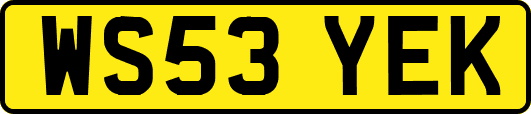 WS53YEK