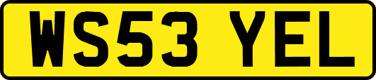 WS53YEL