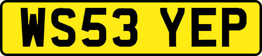 WS53YEP