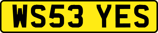 WS53YES