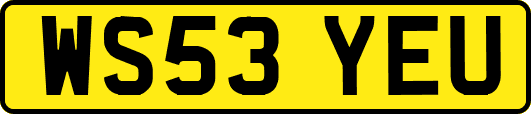 WS53YEU