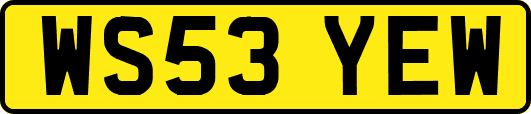 WS53YEW