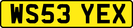 WS53YEX