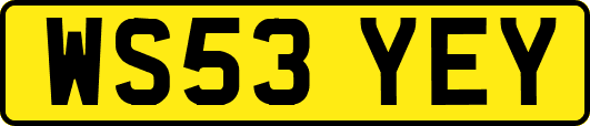 WS53YEY