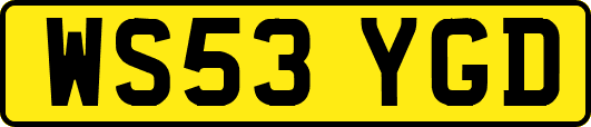 WS53YGD