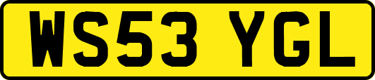 WS53YGL