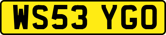 WS53YGO