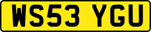WS53YGU