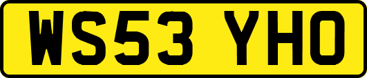 WS53YHO