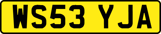 WS53YJA