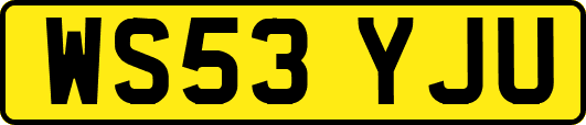 WS53YJU