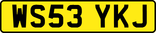 WS53YKJ