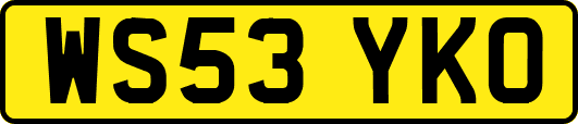 WS53YKO
