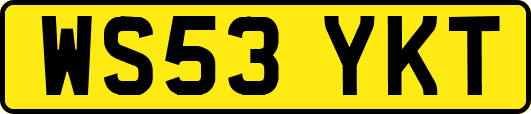 WS53YKT