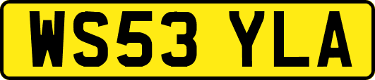WS53YLA