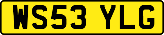 WS53YLG