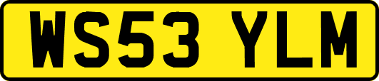 WS53YLM
