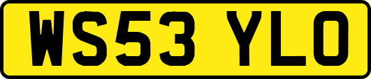 WS53YLO