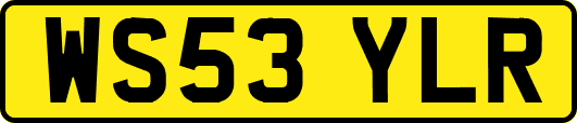 WS53YLR