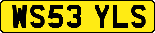 WS53YLS
