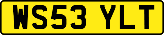 WS53YLT