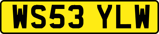 WS53YLW