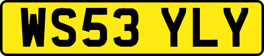 WS53YLY