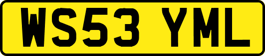 WS53YML
