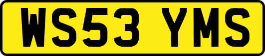 WS53YMS