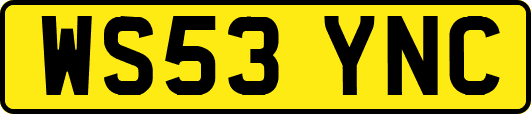 WS53YNC