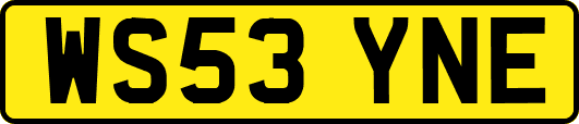 WS53YNE