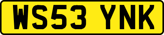 WS53YNK