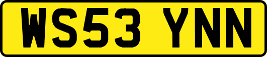 WS53YNN