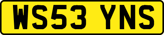 WS53YNS