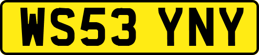 WS53YNY