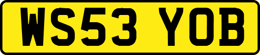 WS53YOB