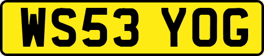 WS53YOG