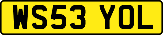 WS53YOL