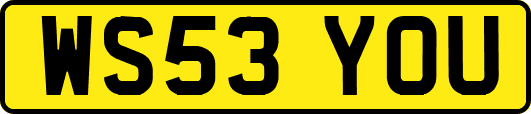 WS53YOU