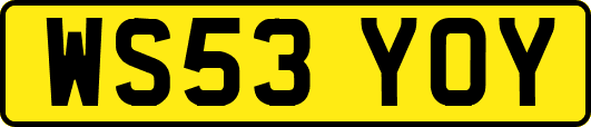 WS53YOY